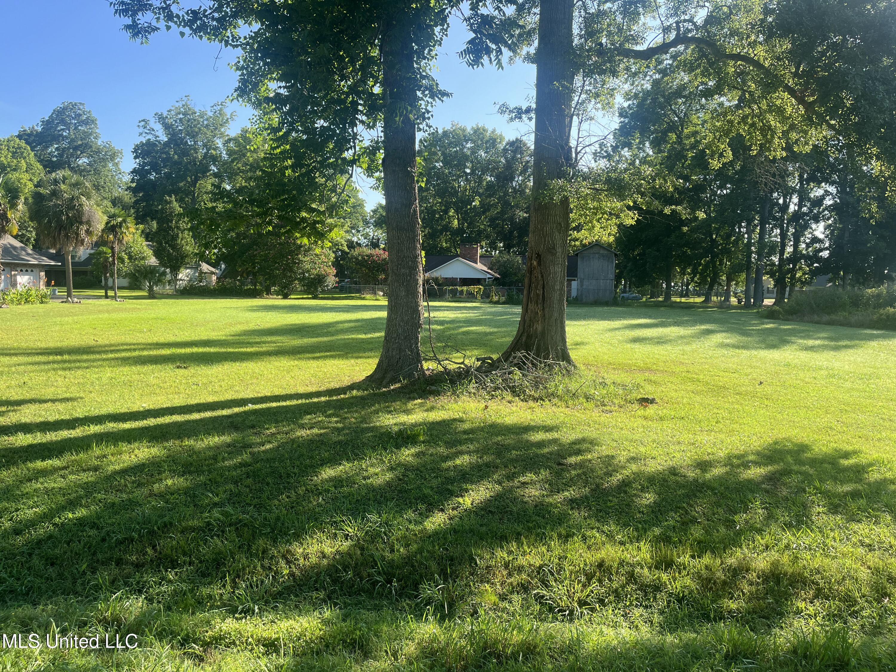 Panola Drive Ferriday, LA 71334 - Photo 2 of 7 IMG_1990