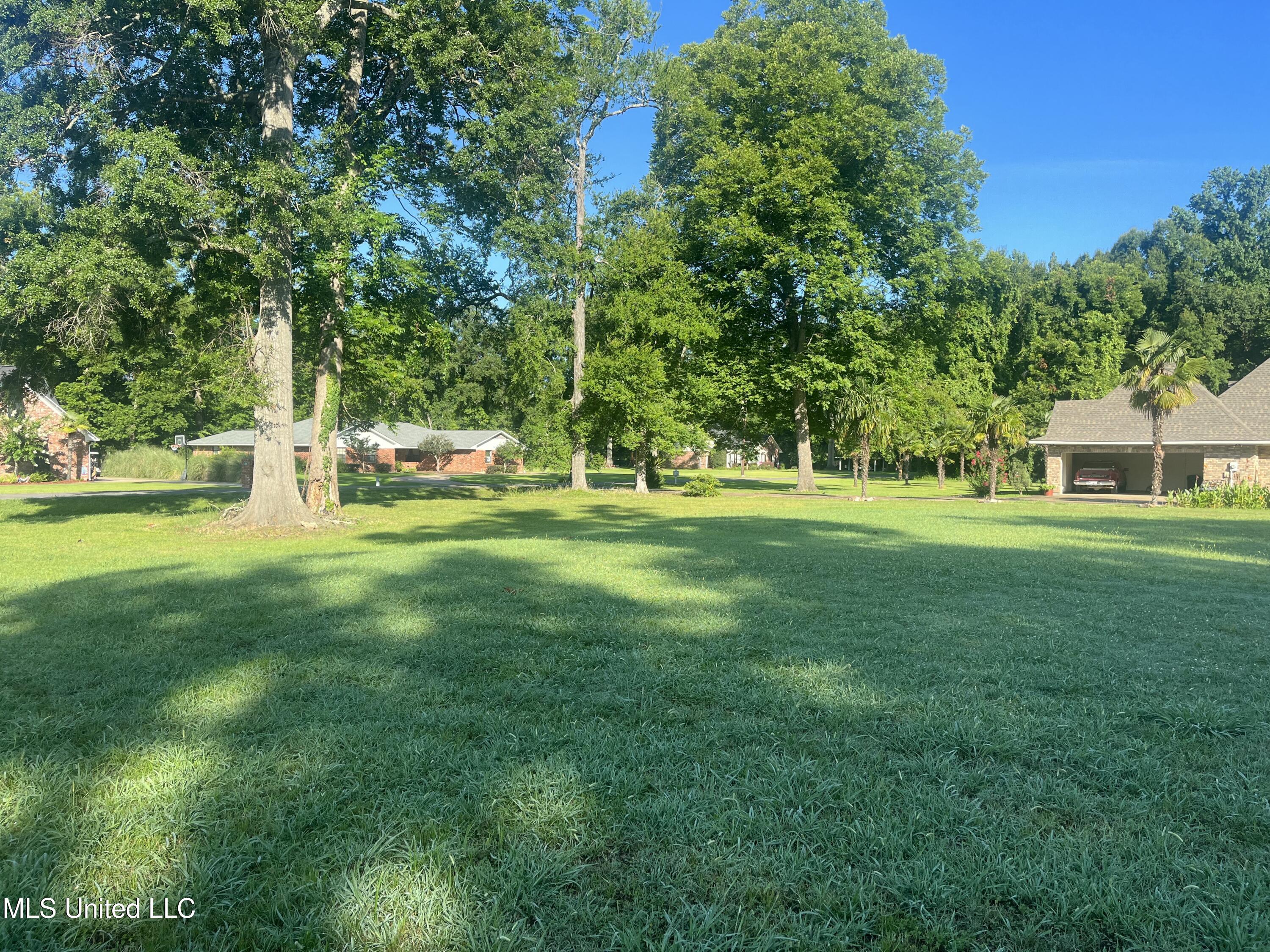 Panola Drive Ferriday, LA 71334 - Photo 3 of 7 IMG_1991