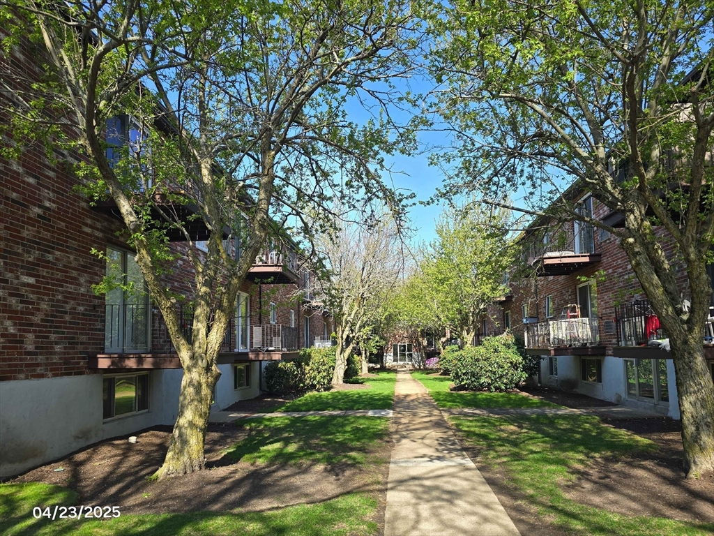 20 Westgate Road, Unit 6 Boston, MA 02467 - Photo 19 of 25 front view of a house with a tree