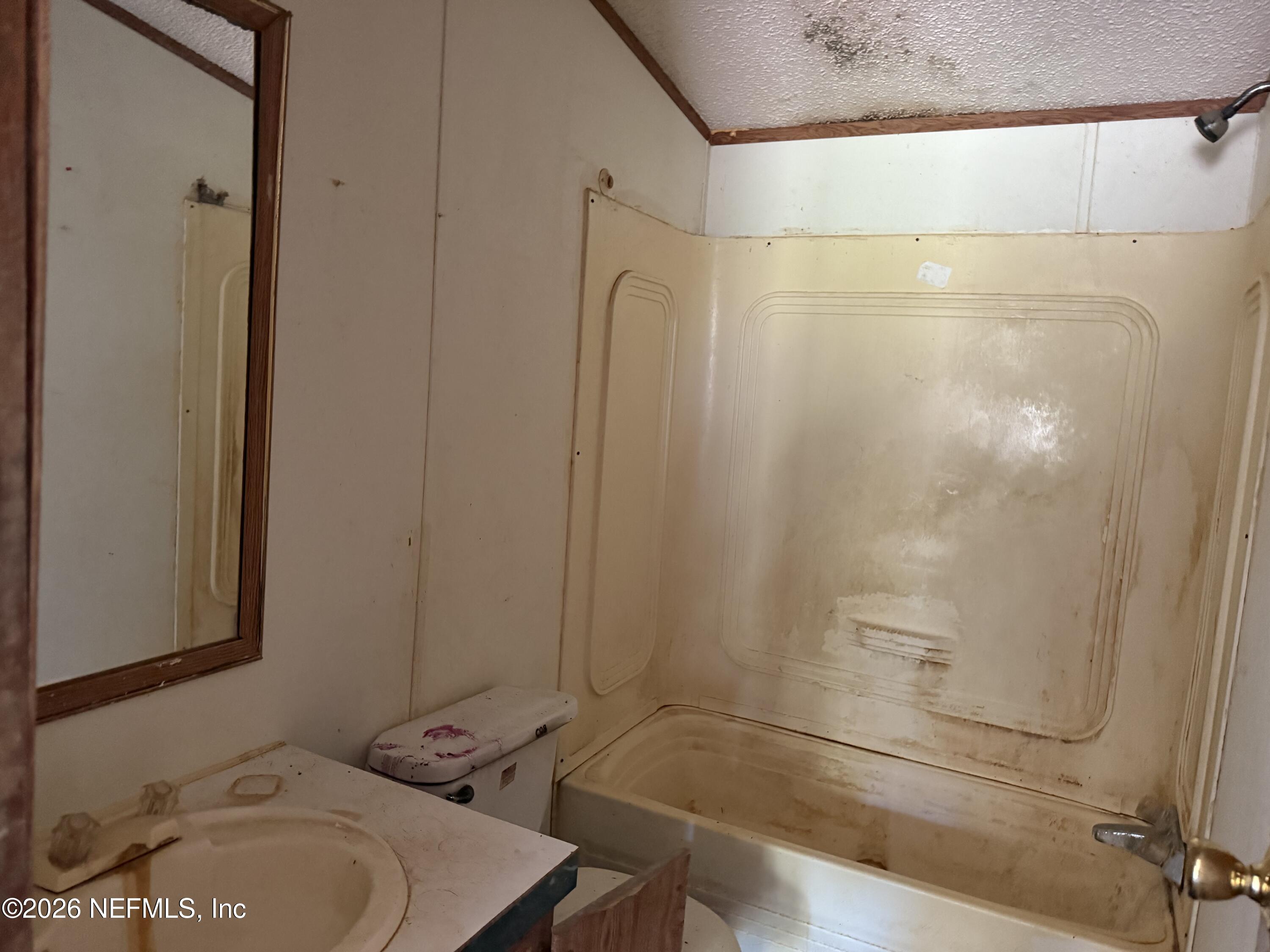 203 Quail Hollow Road Satsuma, FL 32189 - Photo 12 of 15 a bathroom with a sink and a mirror