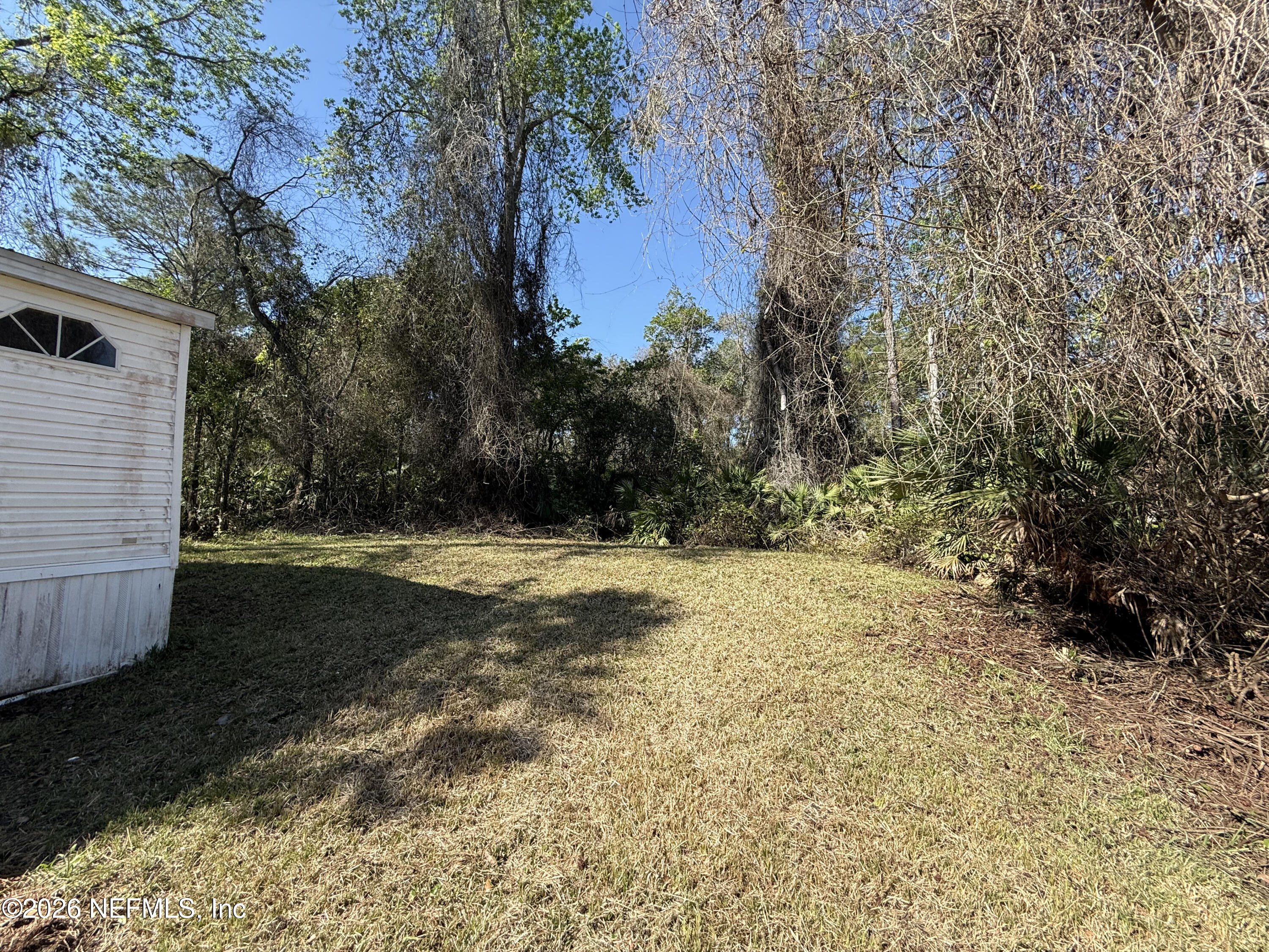 203 Quail Hollow Road Satsuma, FL 32189 - Photo 2 of 15 a view of backyard with green space