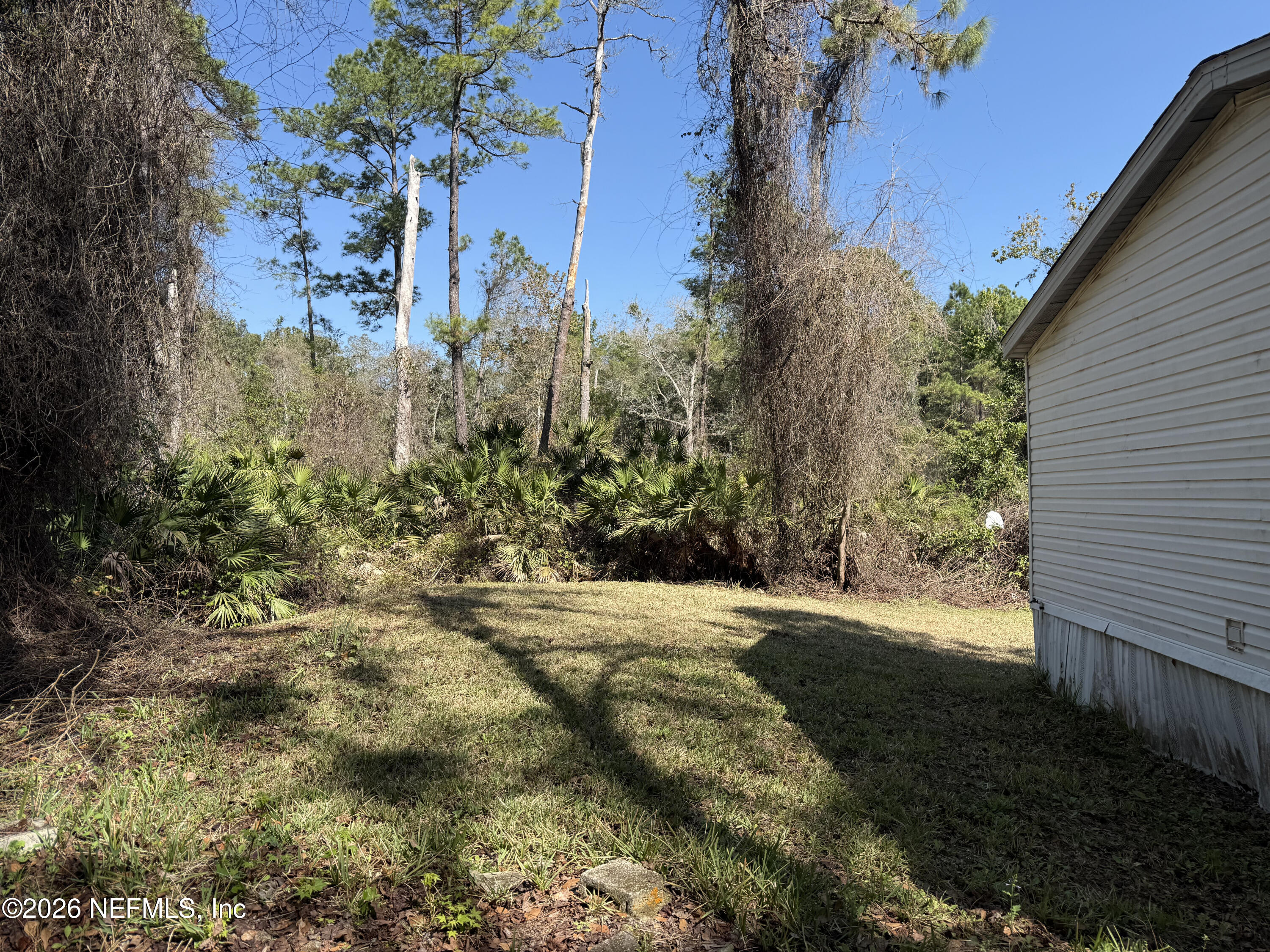 203 Quail Hollow Road Satsuma, FL 32189 - Photo 5 of 15 a view of a yard with plants and trees