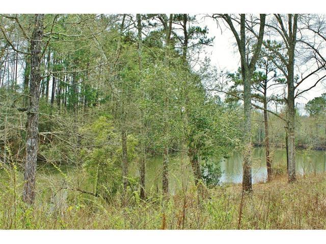 0 Ralph Cotton Road Franklinton, LA 70438 - Photo 1 of 3 Gallery Image 1