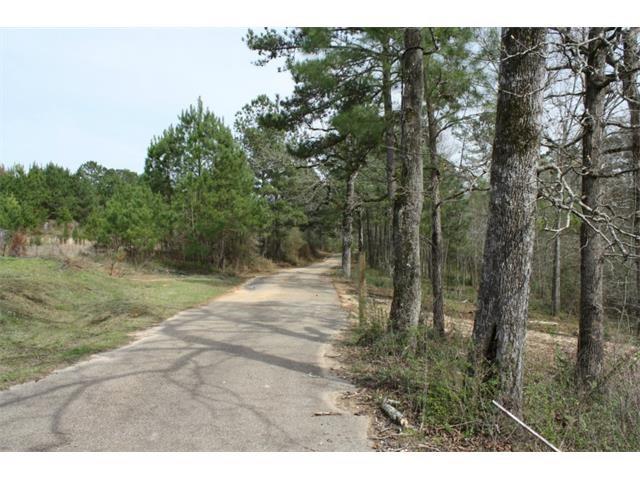 0 Ralph Cotton Road Franklinton, LA 70438 - Photo 3 of 3 Gallery Image 3