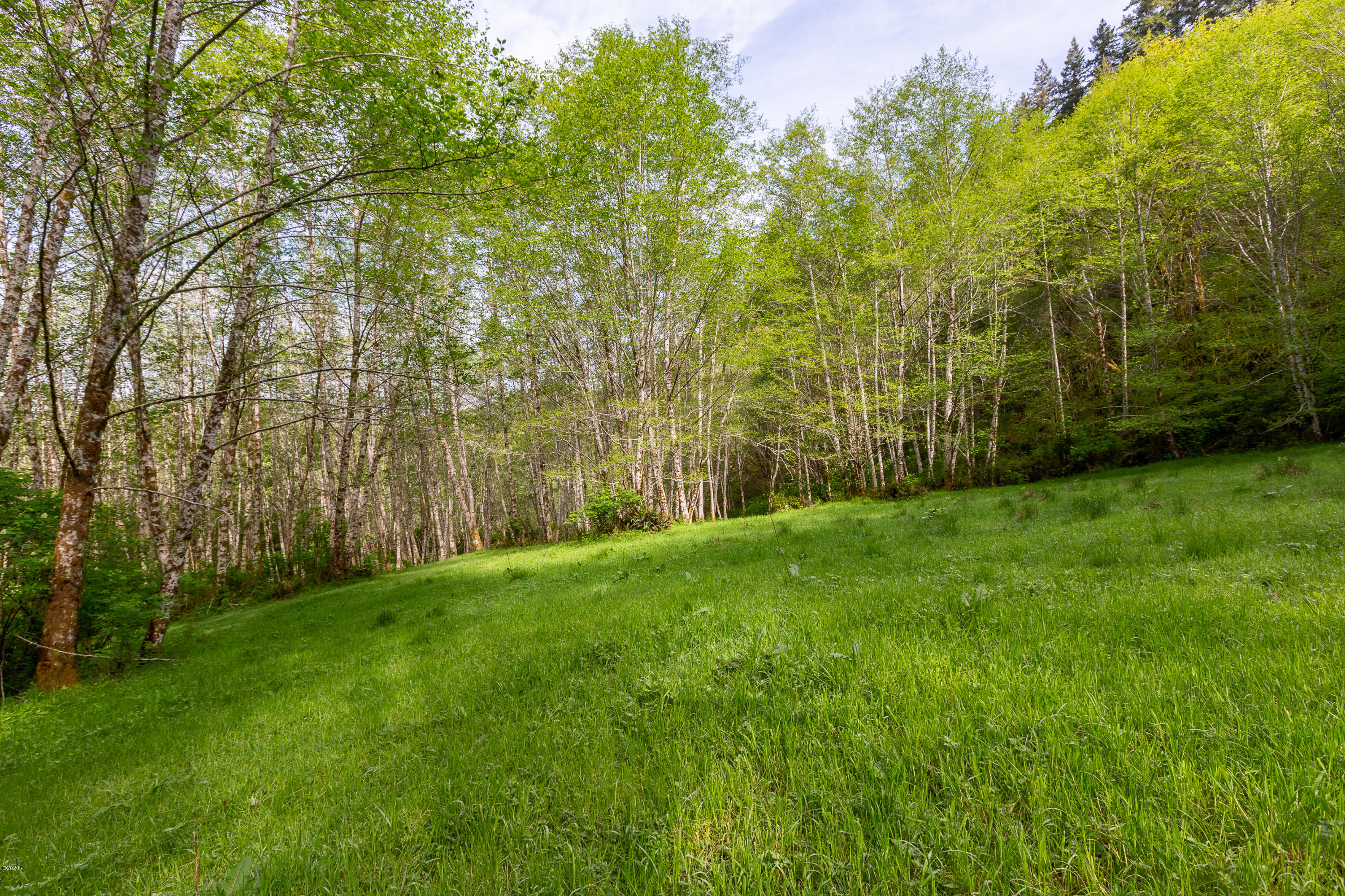 1266 North Yachats River Road Yachats, OR 97498 - Photo 78 of 79 Meadows
