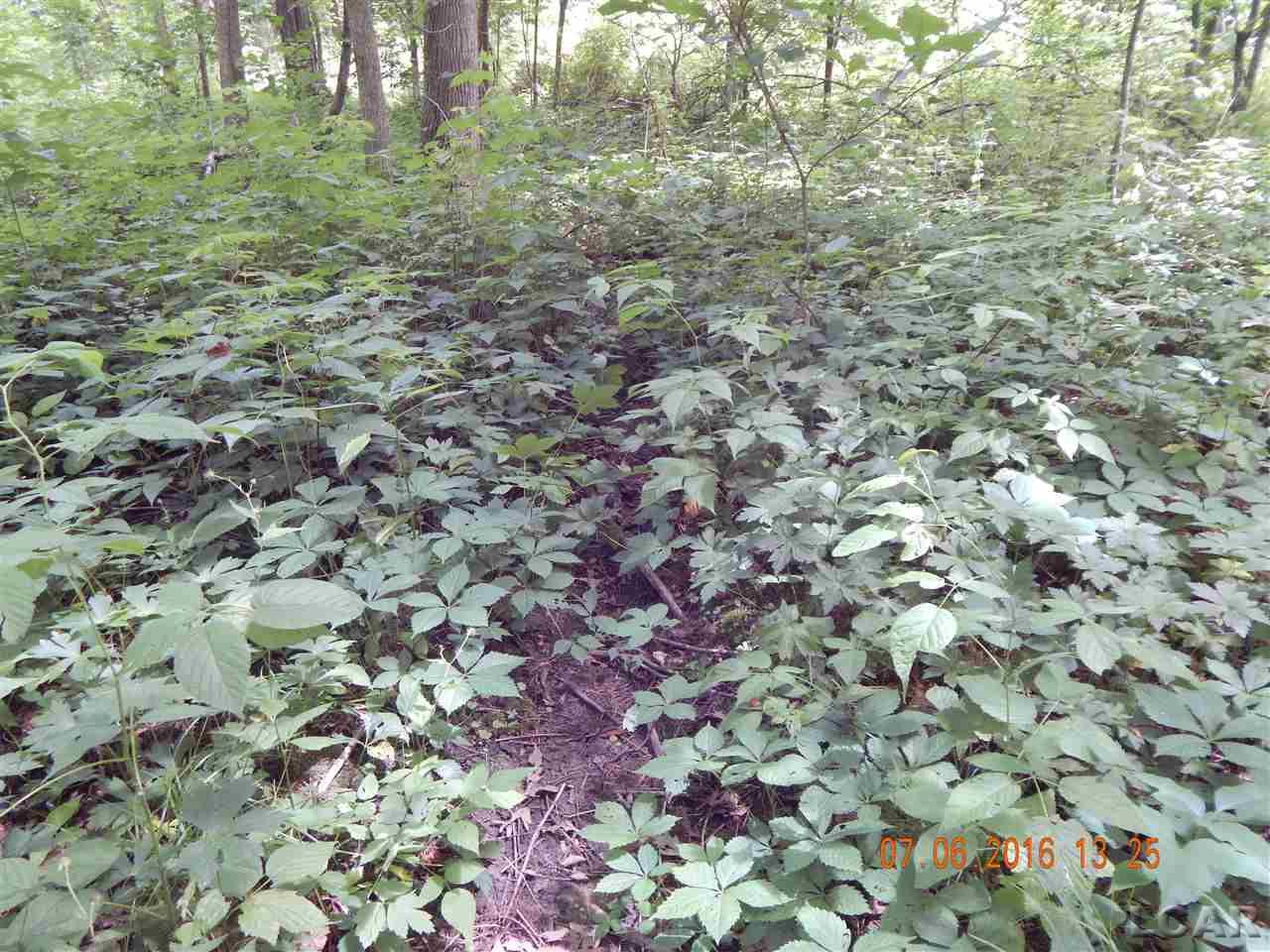 3883 Rogers Road Parma, MI 49269 - Photo 8 of 21