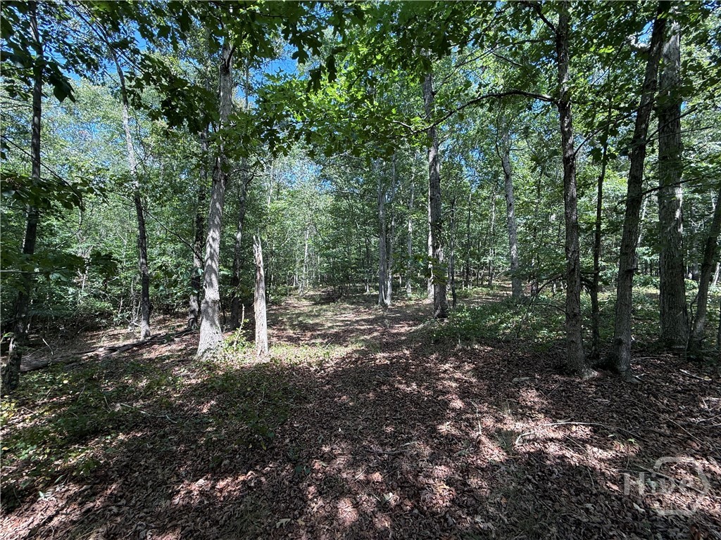 1276 Winns Lake Road Comer, GA 30629 - Photo 10 of 37