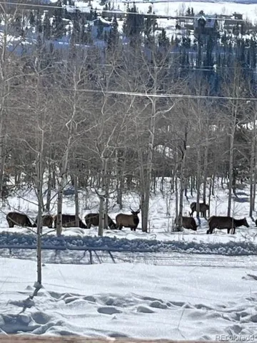 $1,500,000 | 403 J Road, Silverthorne, CO 80498