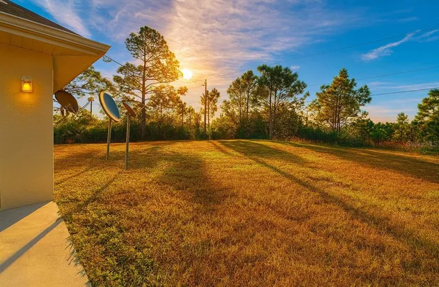 a view of an empty room with a small yard