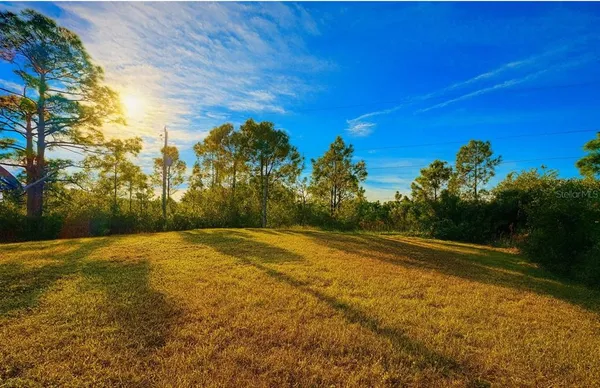a view of empty space with swimming pool and trees in the background