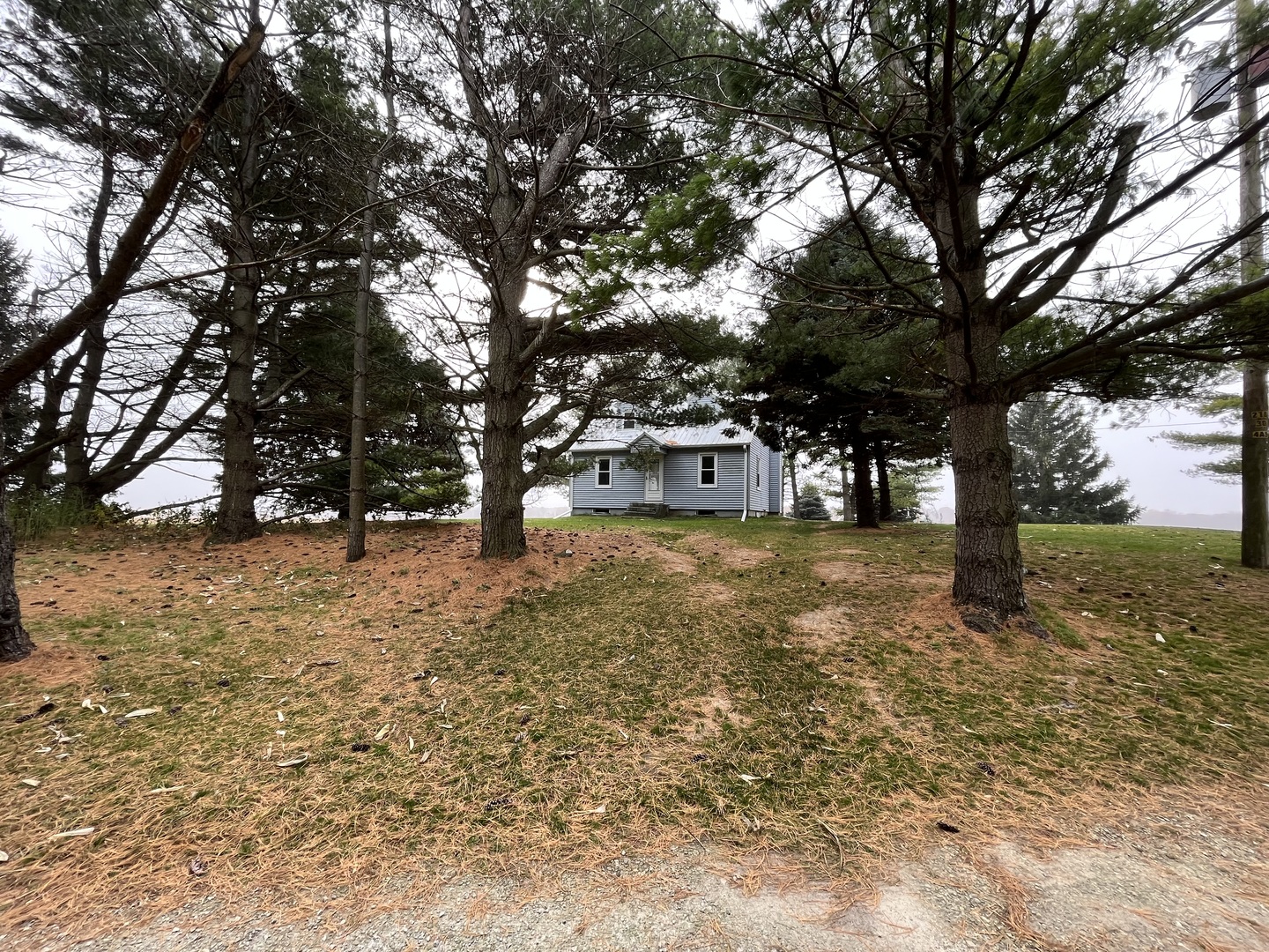 14879 Rick Road Morrison, IL 61270 - Photo 2 of 10 a view of a yard with trees