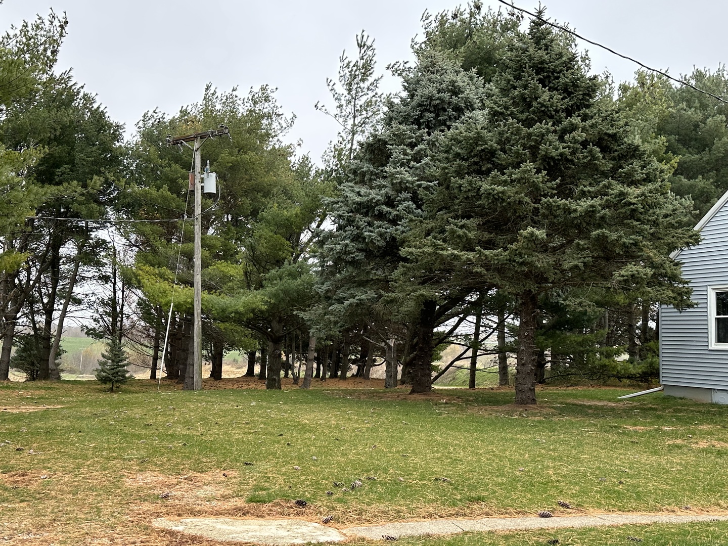 14879 Rick Road Morrison, IL 61270 - Photo 3 of 10 a view of a park with large trees