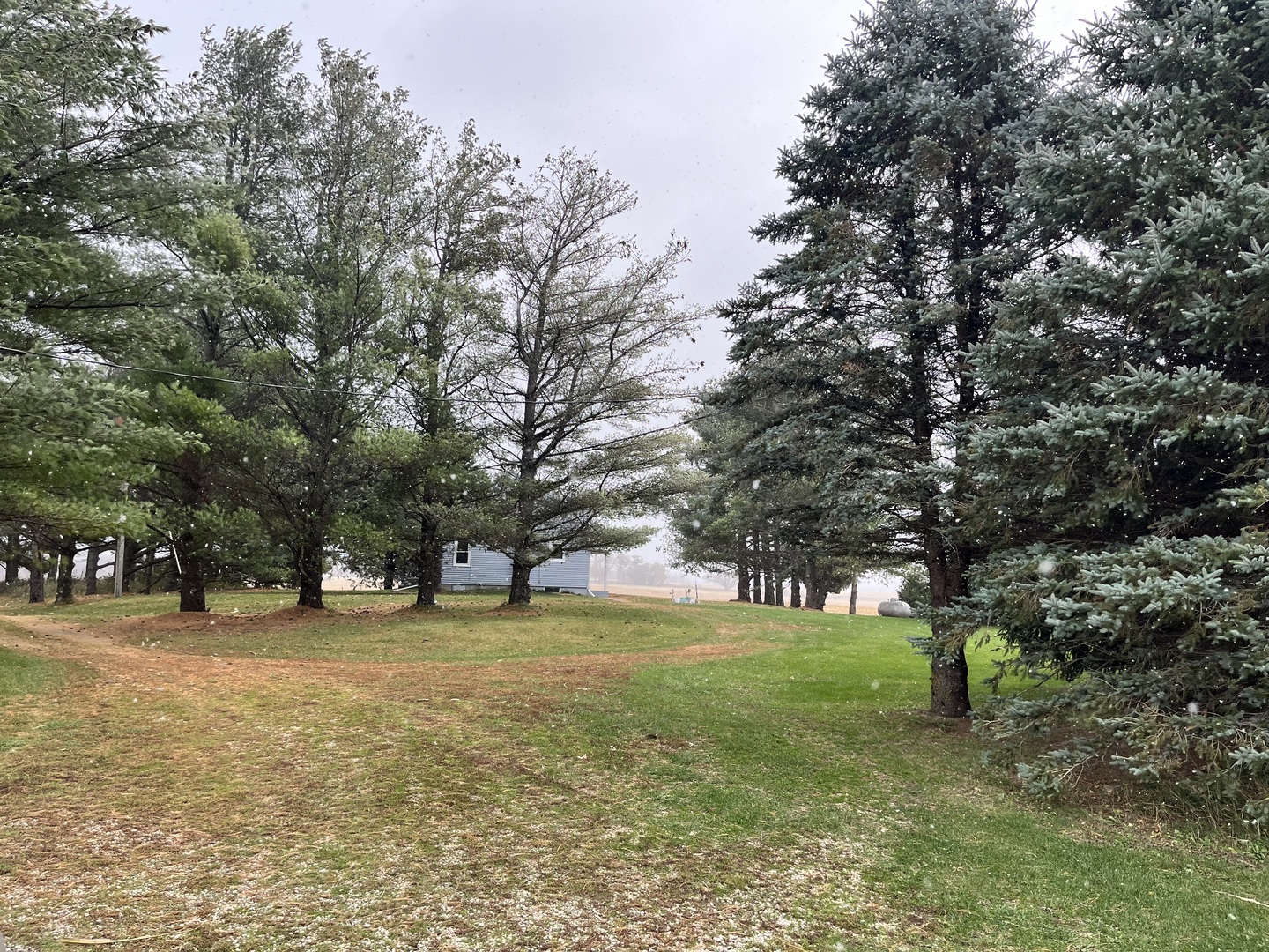 14879 Rick Road Morrison, IL 61270 - Photo 4 of 10 a huge green field with lots of trees