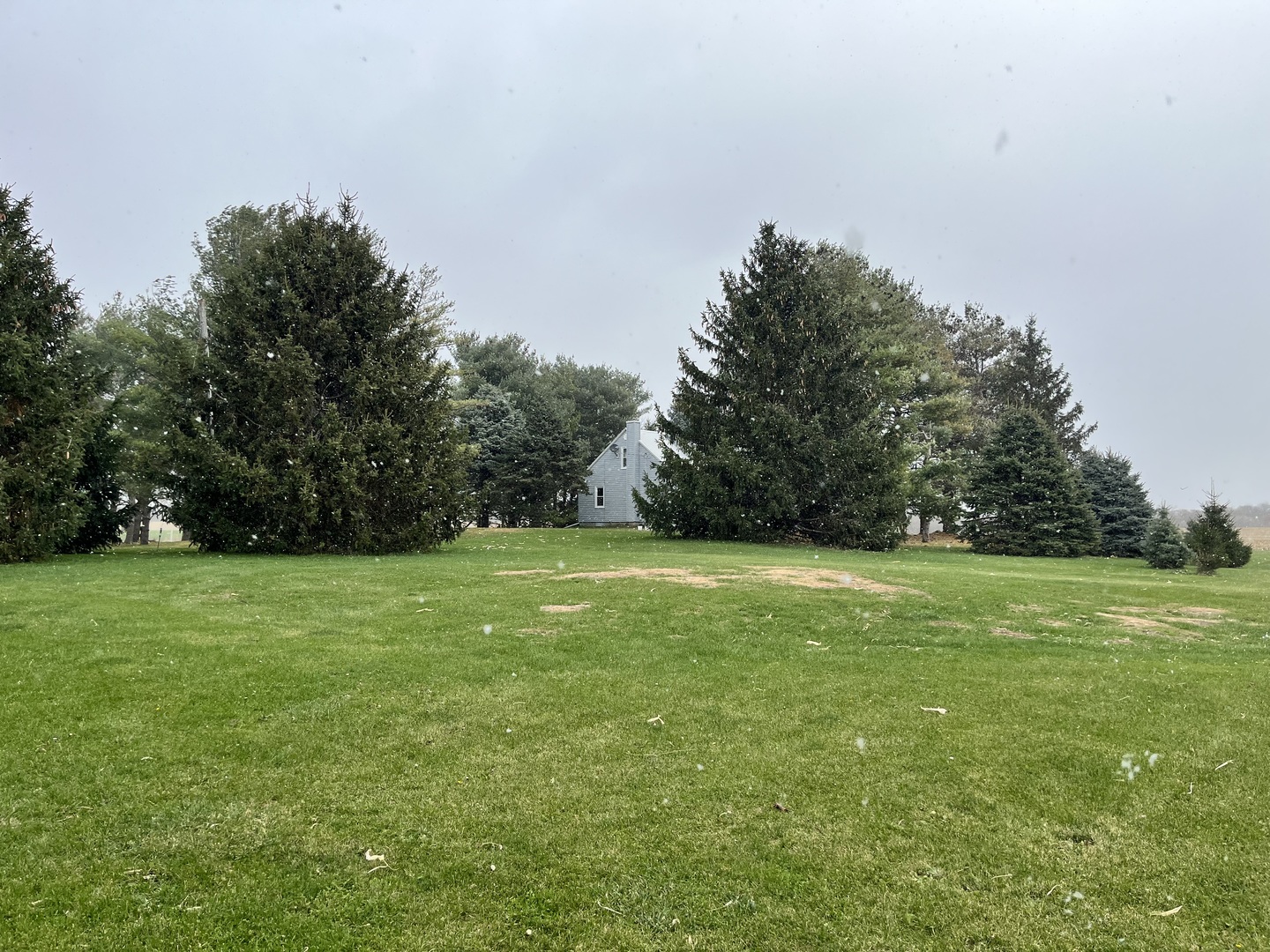 14879 Rick Road Morrison, IL 61270 - Photo 5 of 10 a view of a grassy field with trees