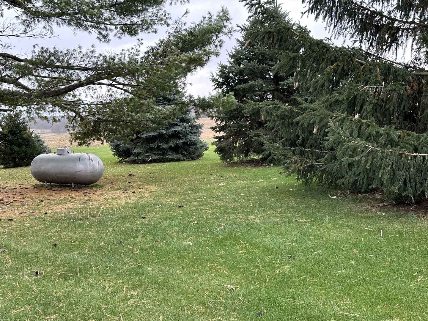 14879 Rick Road Morrison, IL 61270 - Photo 6 of 10 a view of a trees in a backyard