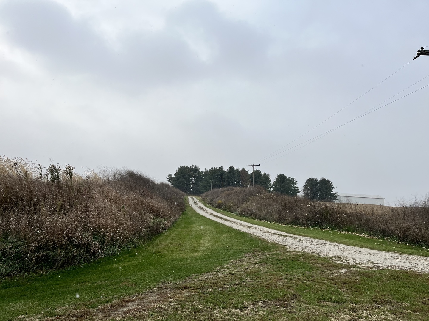 14879 Rick Road Morrison, IL 61270 - Photo 10 of 10 a view of a field with mountains in the background