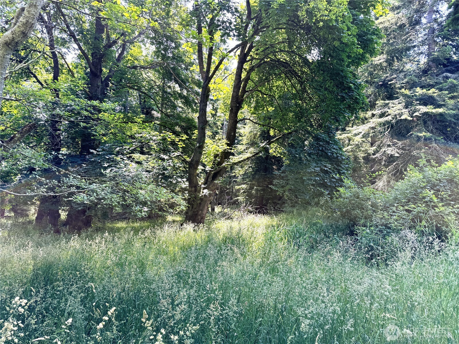 0 Davis Beach Road Anacortes, WA 98221 - Photo 14 of 22 a backyard of a house with lots of green space and lake view