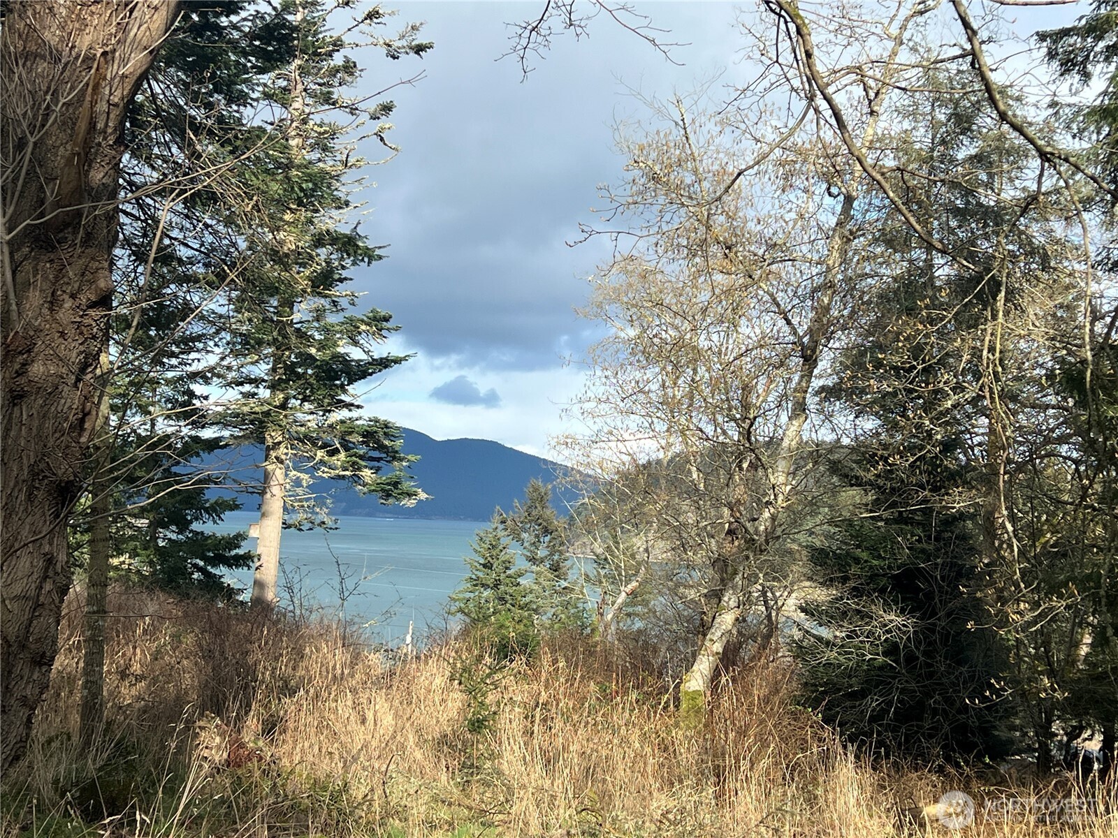 0 Davis Beach Road Anacortes, WA 98221 - Photo 2 of 22 a view of flowers in a yard
