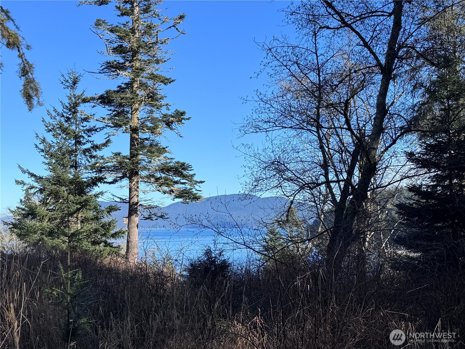 0 Davis Beach Road Anacortes, WA 98221 - Photo 3 of 22 a view of a tree in a backyard of a house