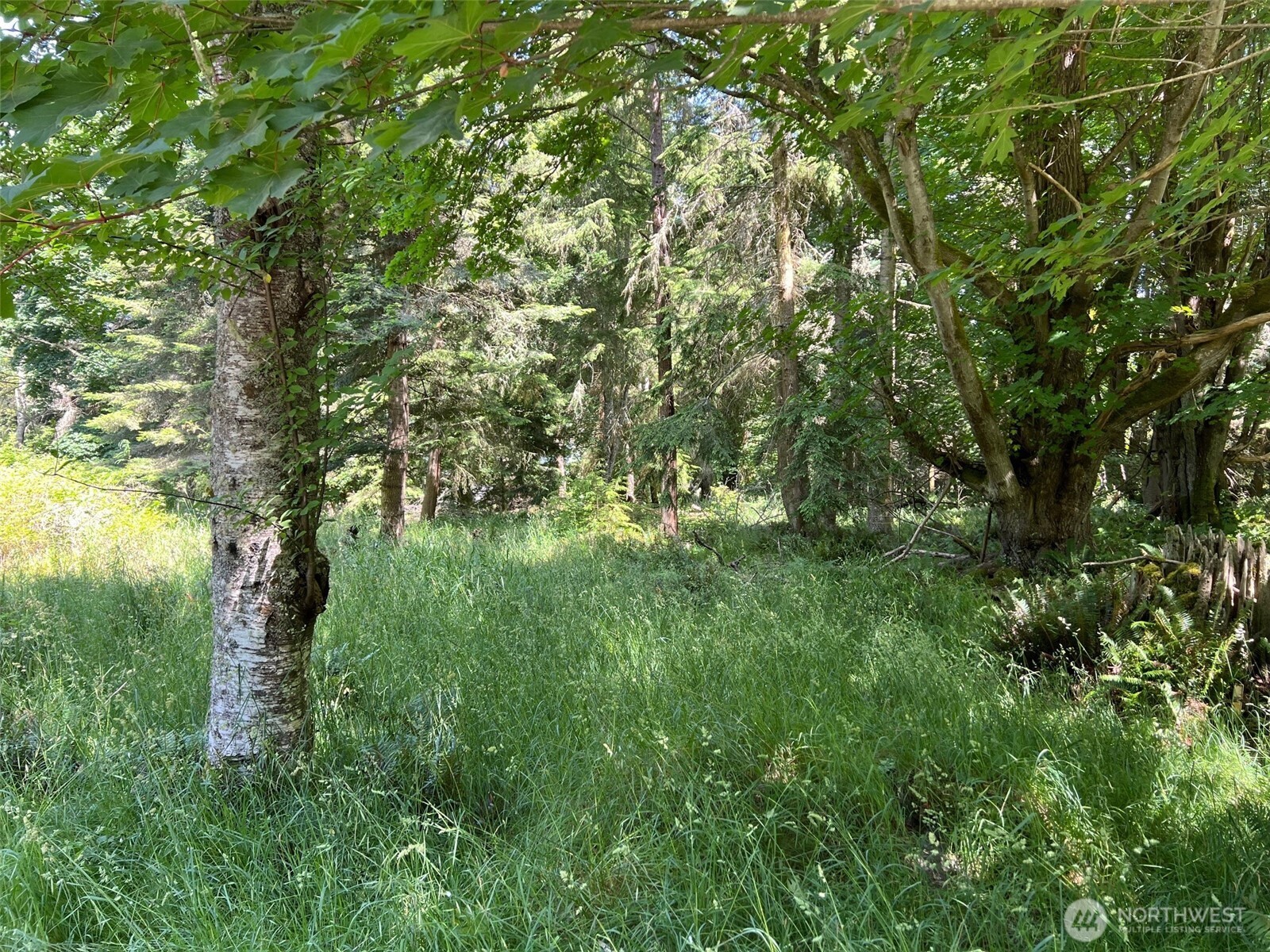 0 Davis Beach Road Anacortes, WA 98221 - Photo 5 of 22 a view of a lush green space