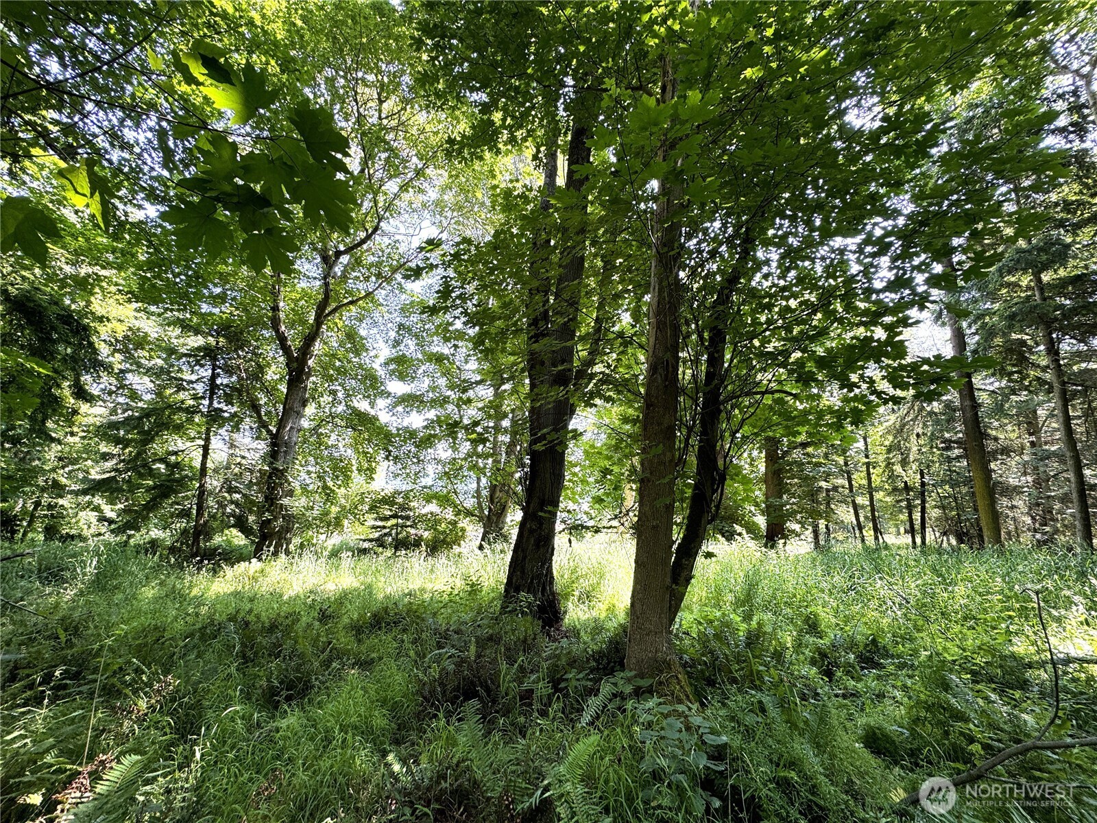 0 Davis Beach Road Anacortes, WA 98221 - Photo 6 of 22 a view of outdoor space and trees