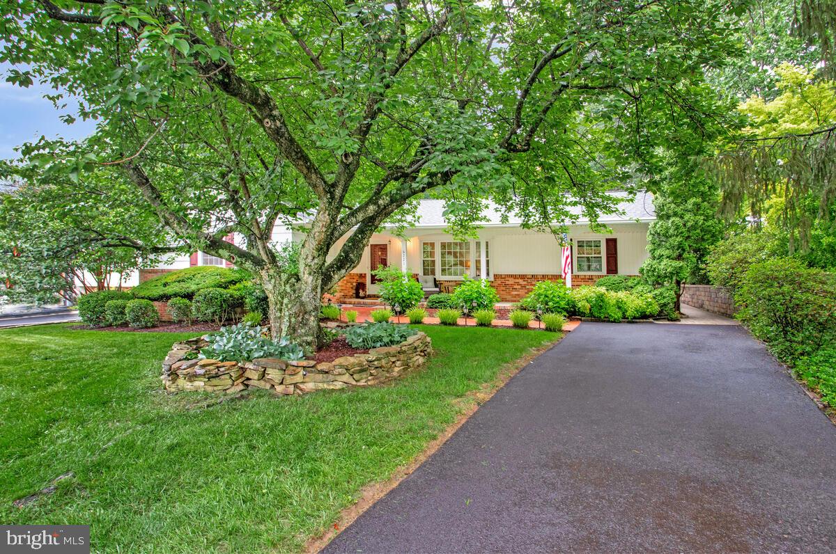6221 Woodland Road Linthicum Heights, MD 21090 - Photo 3 of 47 Gallery Image 3