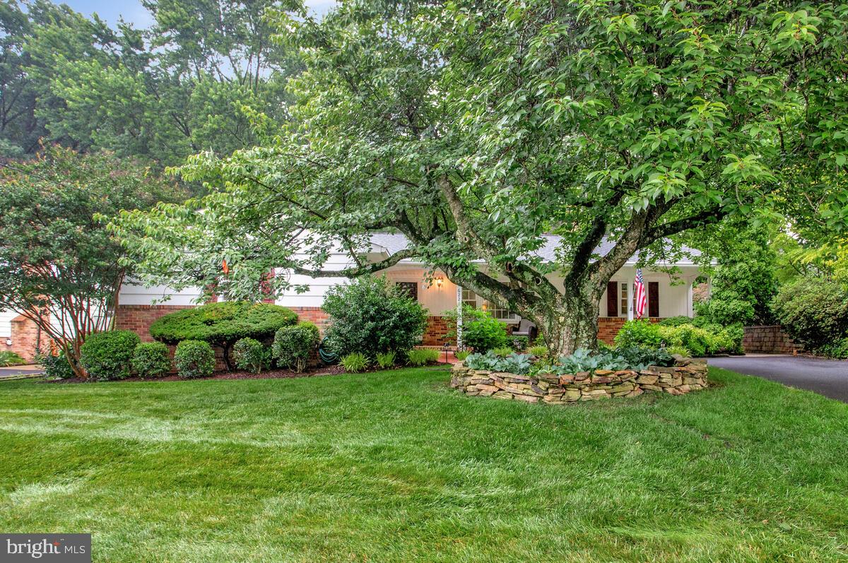 6221 Woodland Road Linthicum Heights, MD 21090 - Photo 5 of 47 Gallery Image 5