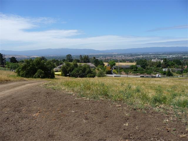 a view of a field with an ocean and trees