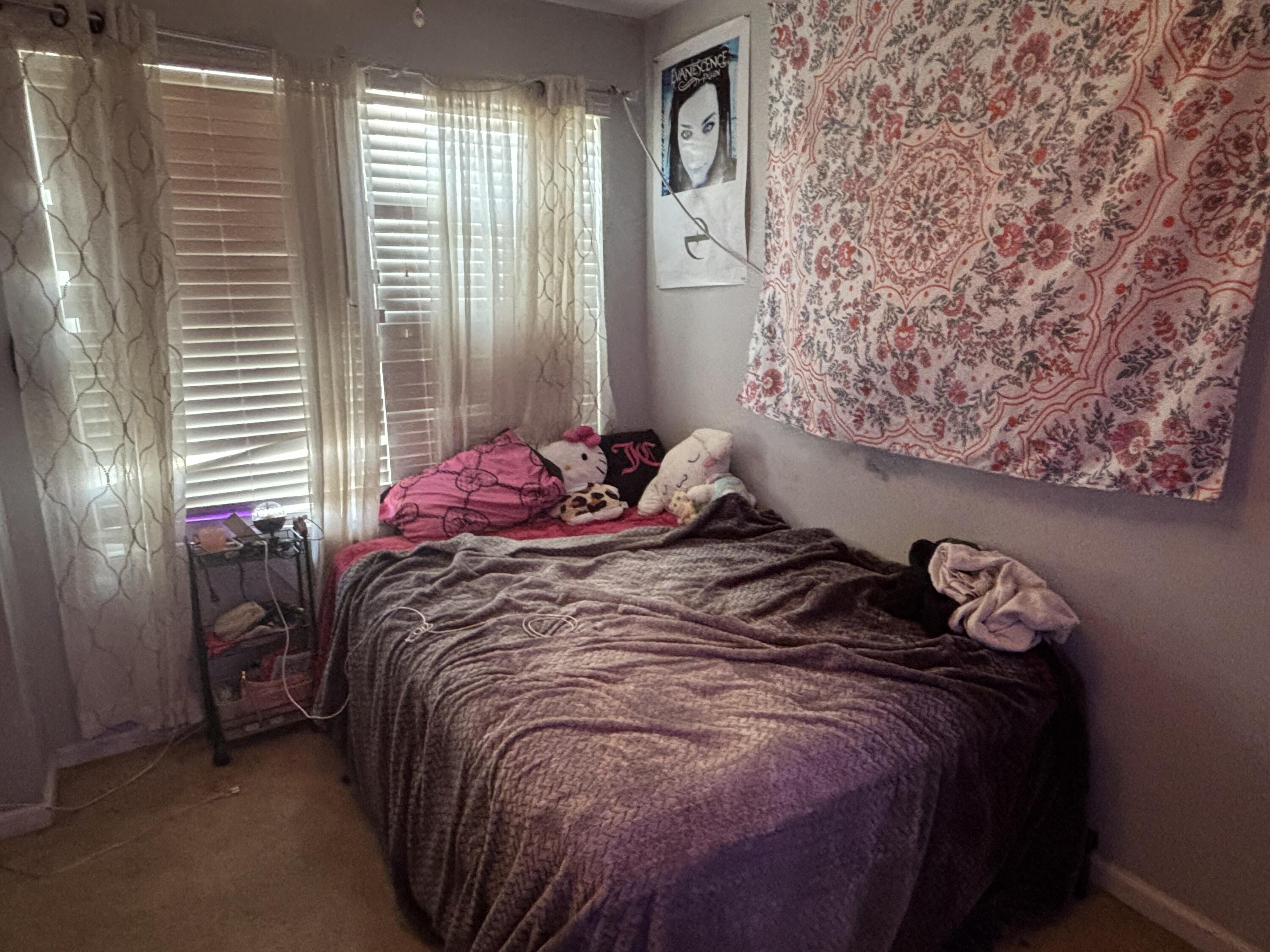 9090 Parlor Drive Ladson, SC 29456 - Photo 10 of 16 IMG_3668