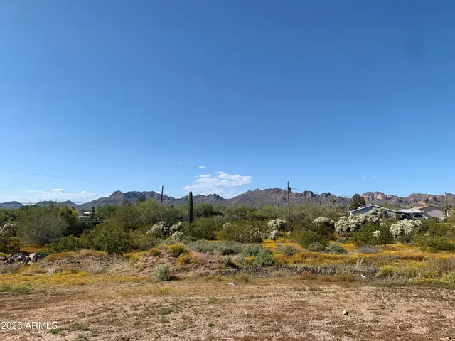 a view of a town with mountains in the background