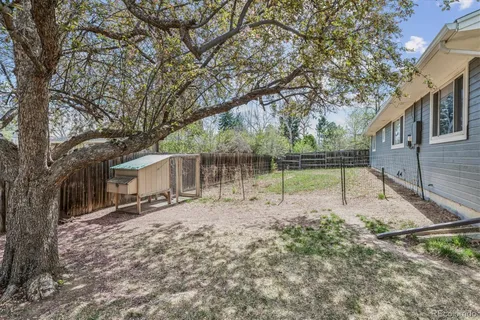a view of a backyard with a tree