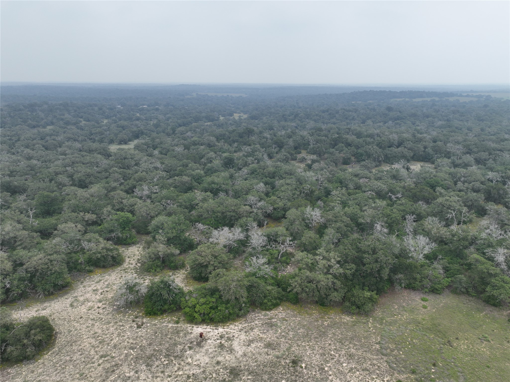 1111 Highway 123 Seguin, TX 78155 - Photo 7 of 11