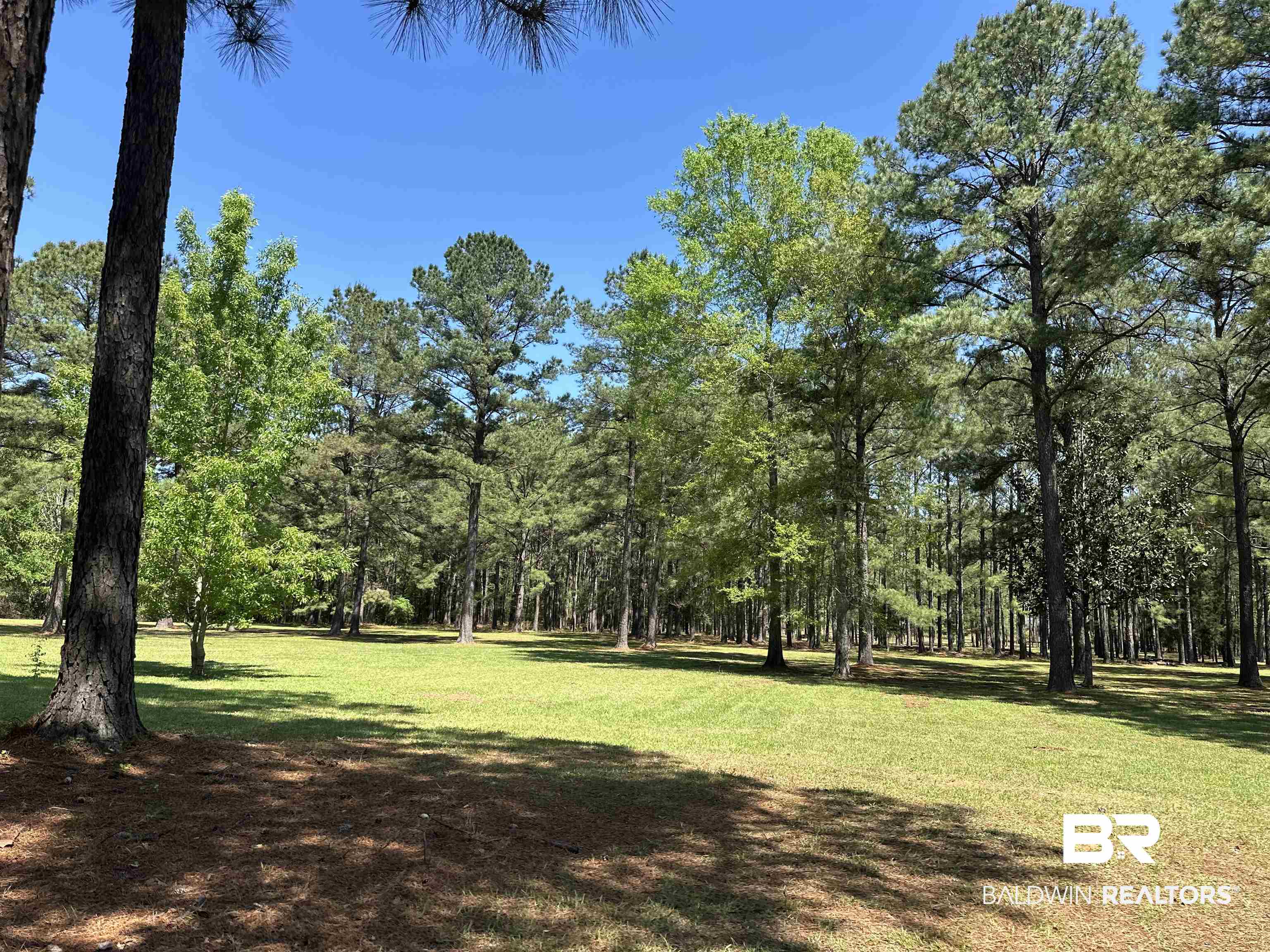 5675 Highway 41 Brewton, AL 36426 - Photo 29 of 34