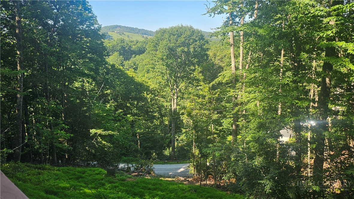 159 Easy Street Boone, NC 28607 - Photo 5 of 46 a view of a forest