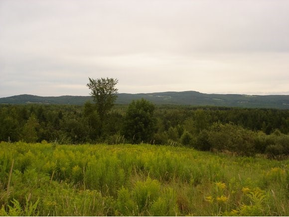 Cooks Road Westmore, VT 05860 - Photo 1 of 1 Gallery Image 1
