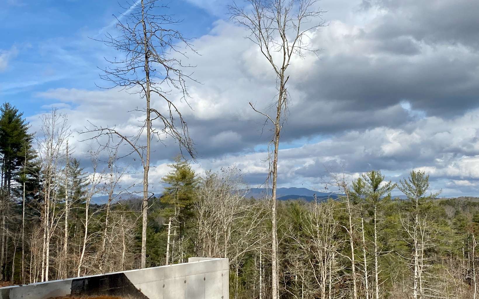 111 Fish Tale Cove Ellijay, GA 30540 - Photo 4 of 4 Additional View