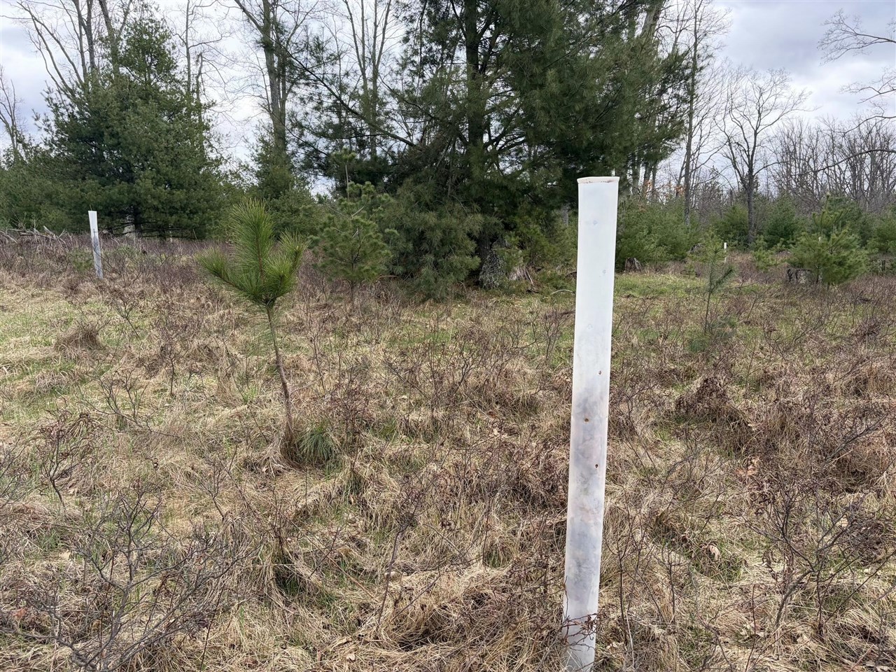 10838 Broad Road Lachine, MI 49753 - Photo 81 of 96