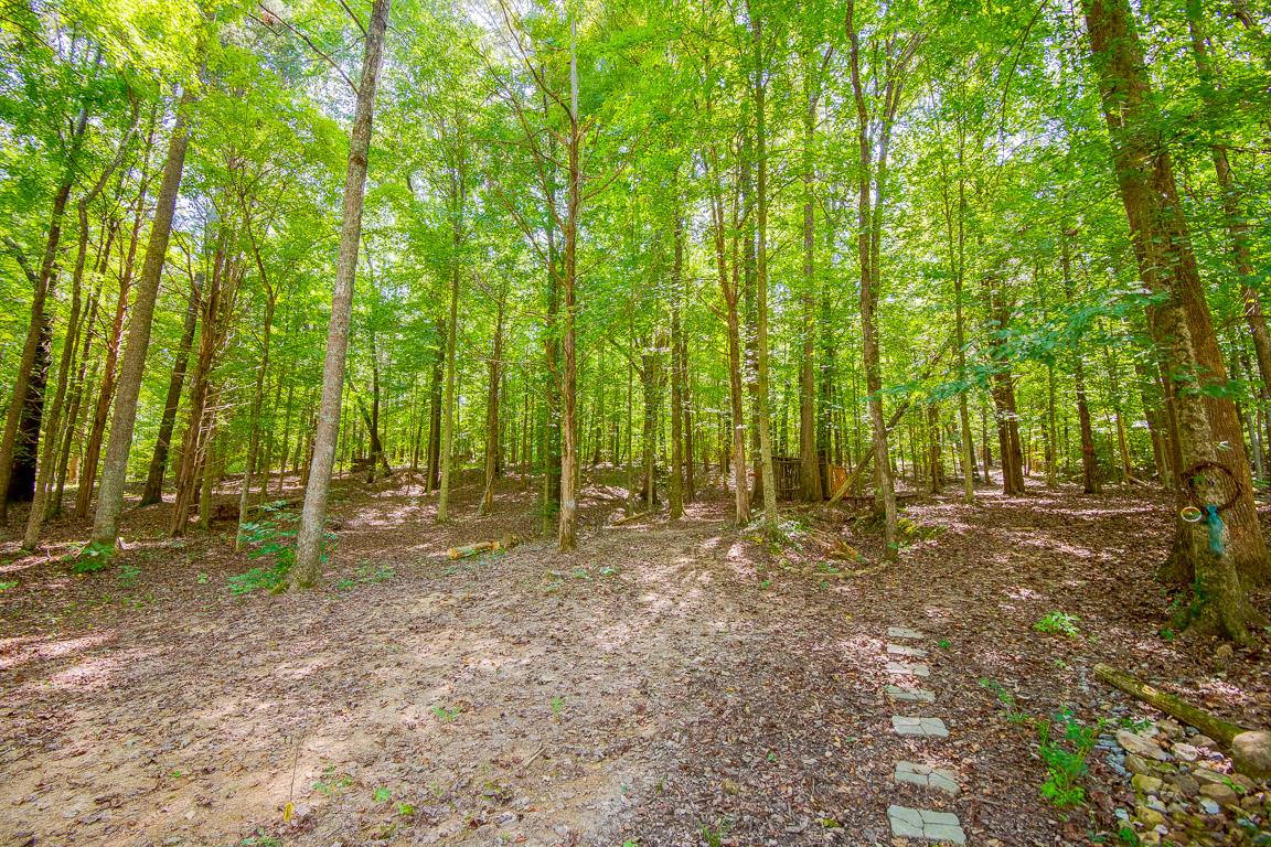 3083 Sweethome Road Chapmansboro, TN 37035 - Photo 27 of 30 Gallery Image 27