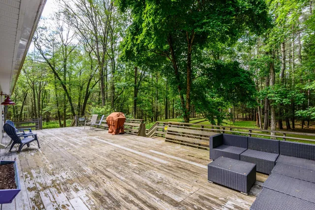 a view of a bench in a park with large trees