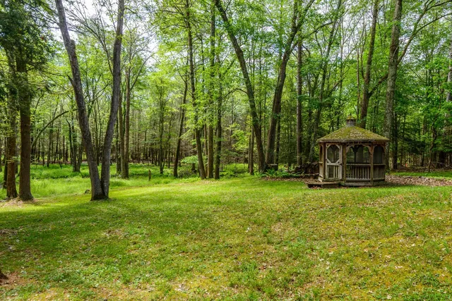 a view of backyard with a garden and trees