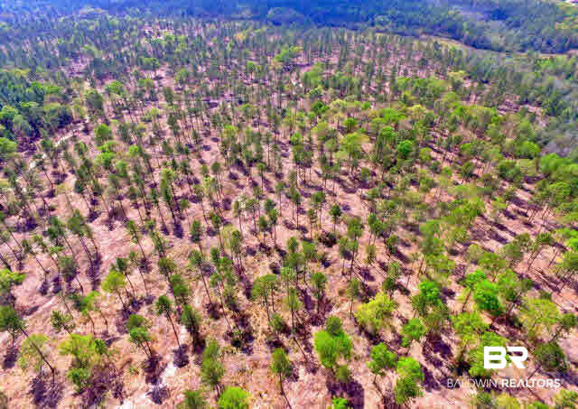 0 South Grand Bay Wilmer Road Wilmer, AL 36587 - Photo 18 of 18