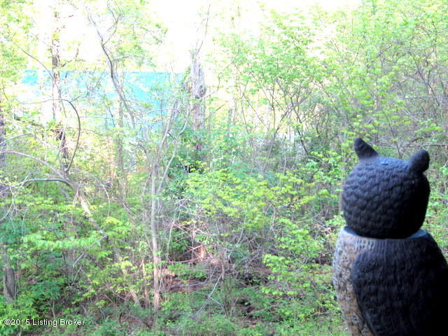 1310 Robbin Lane Cub Run, KY 42729 - Photo 20 of 51 IMG_2489