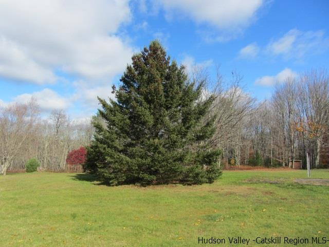 76 Tamarack Road Greenfield Park, NY 12435 - Photo 11 of 13 a street view with large trees