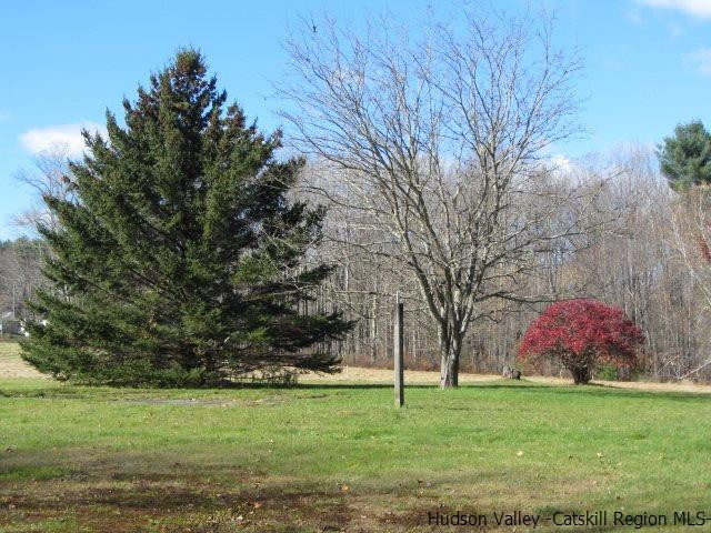 76 Tamarack Road Greenfield Park, NY 12435 - Photo 2 of 13 a backyard of a house with lots of green space