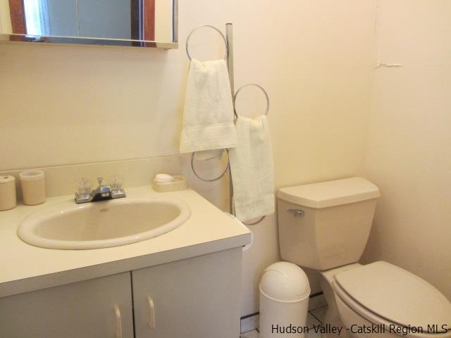 76 Tamarack Road Greenfield Park, NY 12435 - Photo 10 of 13 a bathroom with a sink a toilet and a mirror