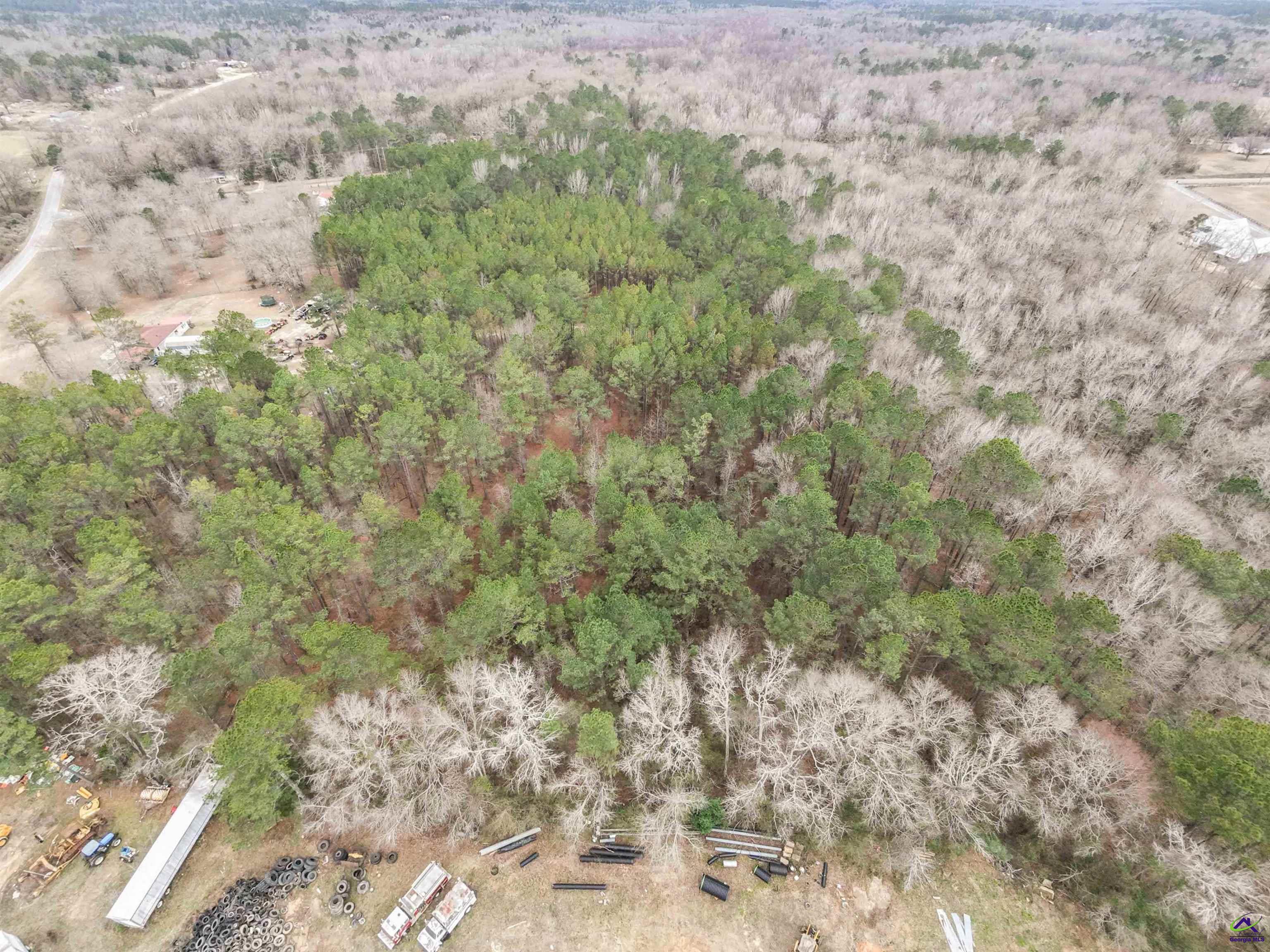 12.6-acres Hicks Road Roberta, GA 31078 - Photo 9 of 17