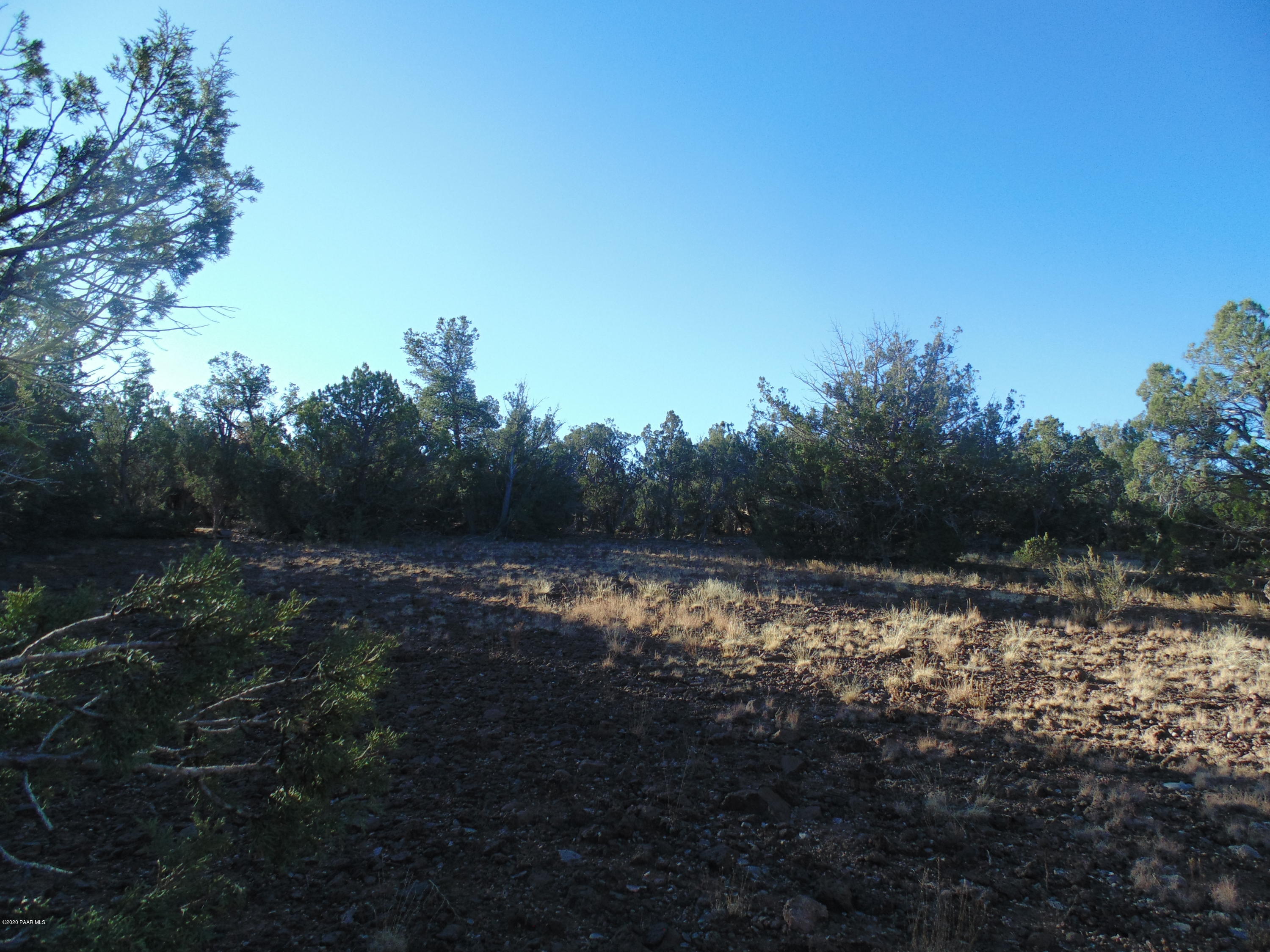 91 West Freedom Rdg Road Seligman, AZ 86337 - Photo 4 of 16 DSC05357