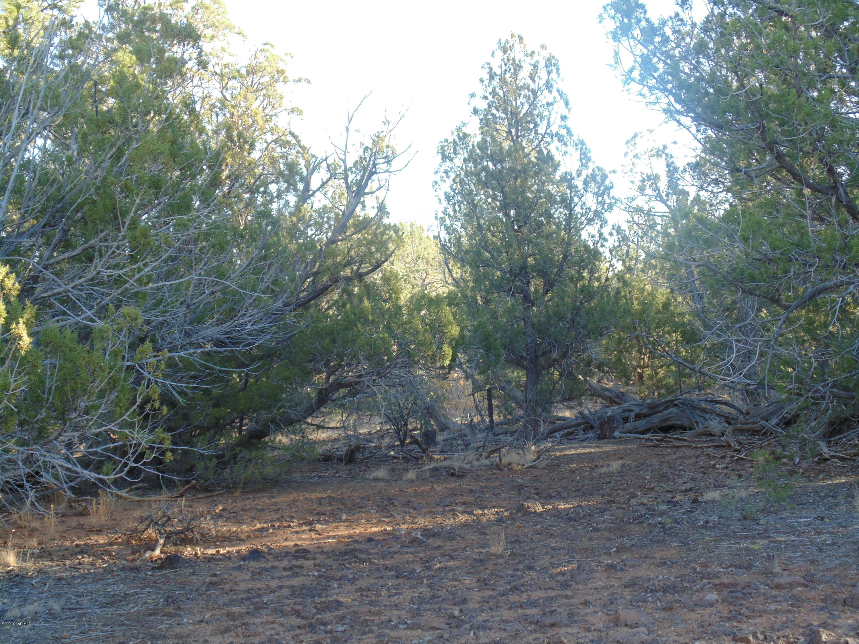 91 West Freedom Rdg Road Seligman, AZ 86337 - Photo 6 of 16 DSC05359