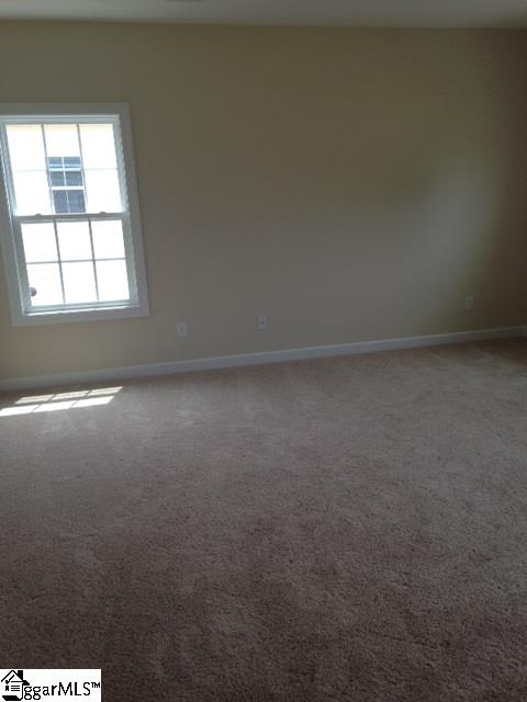 19 Belgian Blue Way Fountain Inn, SC 29644 - Photo 20 of 25 Gallery Image 20