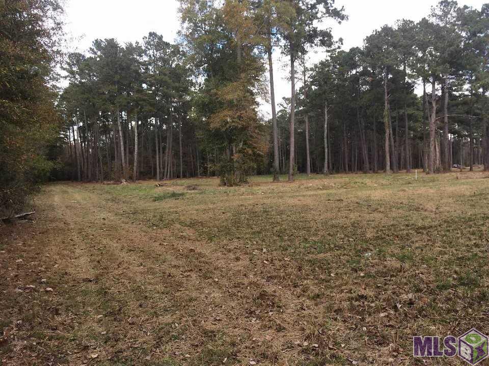 9999 Buck Carroll Road Walker, LA 70785 - Photo 1 of 2 Gallery Image 1